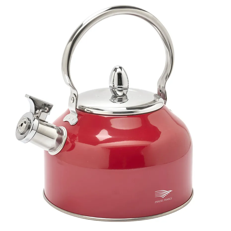 Flash Sale Pradel France Bouilloire à sifflet